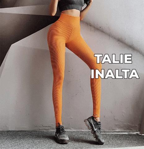 Colanti anticelulitici modelatori FITINT Vivid Colanti anticelulitici modelatori FITINT Vivid