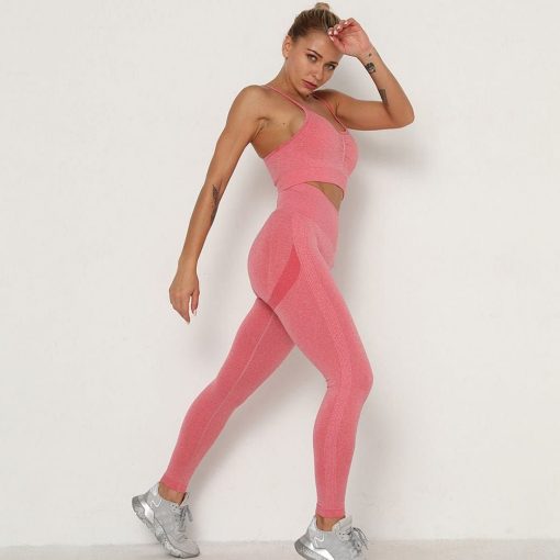 Set Fitness Seamless FITINT Dynamic Pink 2023 4