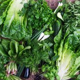 Alimente dieta KETO: Lista completa 2025 12